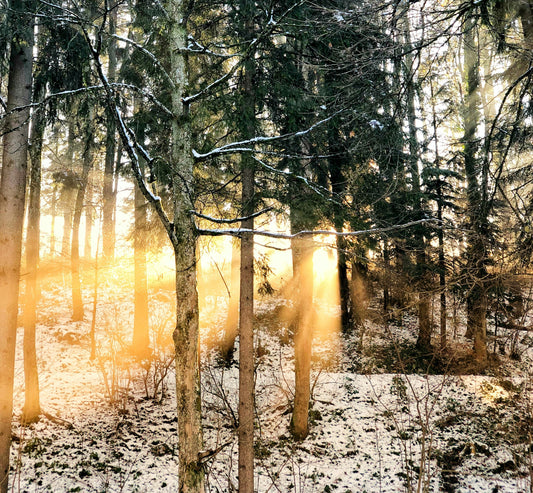 Winterliche Landschaft mit Schneebedeckten Bergen, Fokus auf Sonnenschutz im Winter. UVA-Strahlung und Hautschutz auch in der kalten Jahreszeit wichtig.