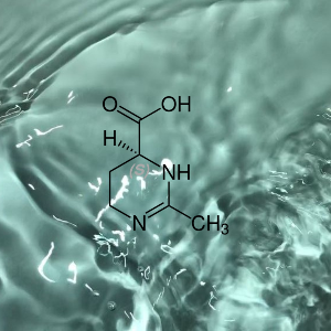 Aminosäure repariert UV Schäden