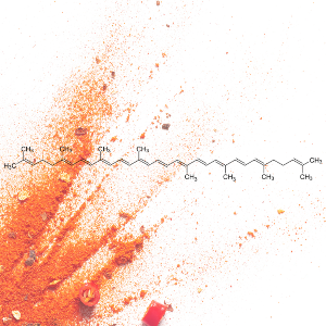 Antioxidans: Lycopin ist ein sekundärer Pflanzenstoff